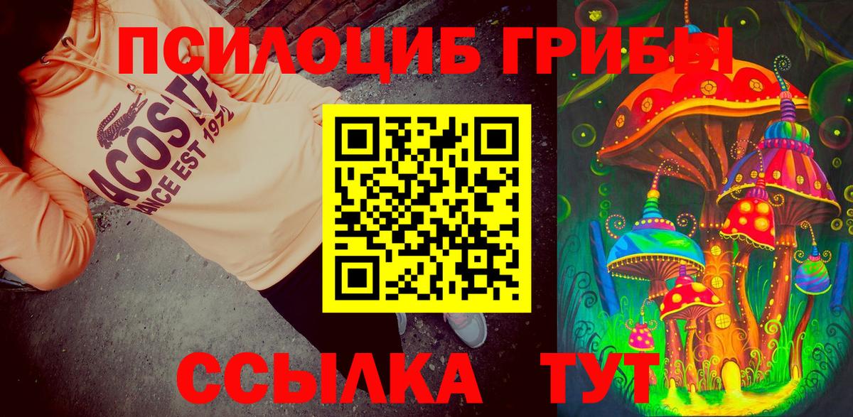 Галлюциногенные грибы Psilocybine cubensis  Вход с VPN  Глазов 